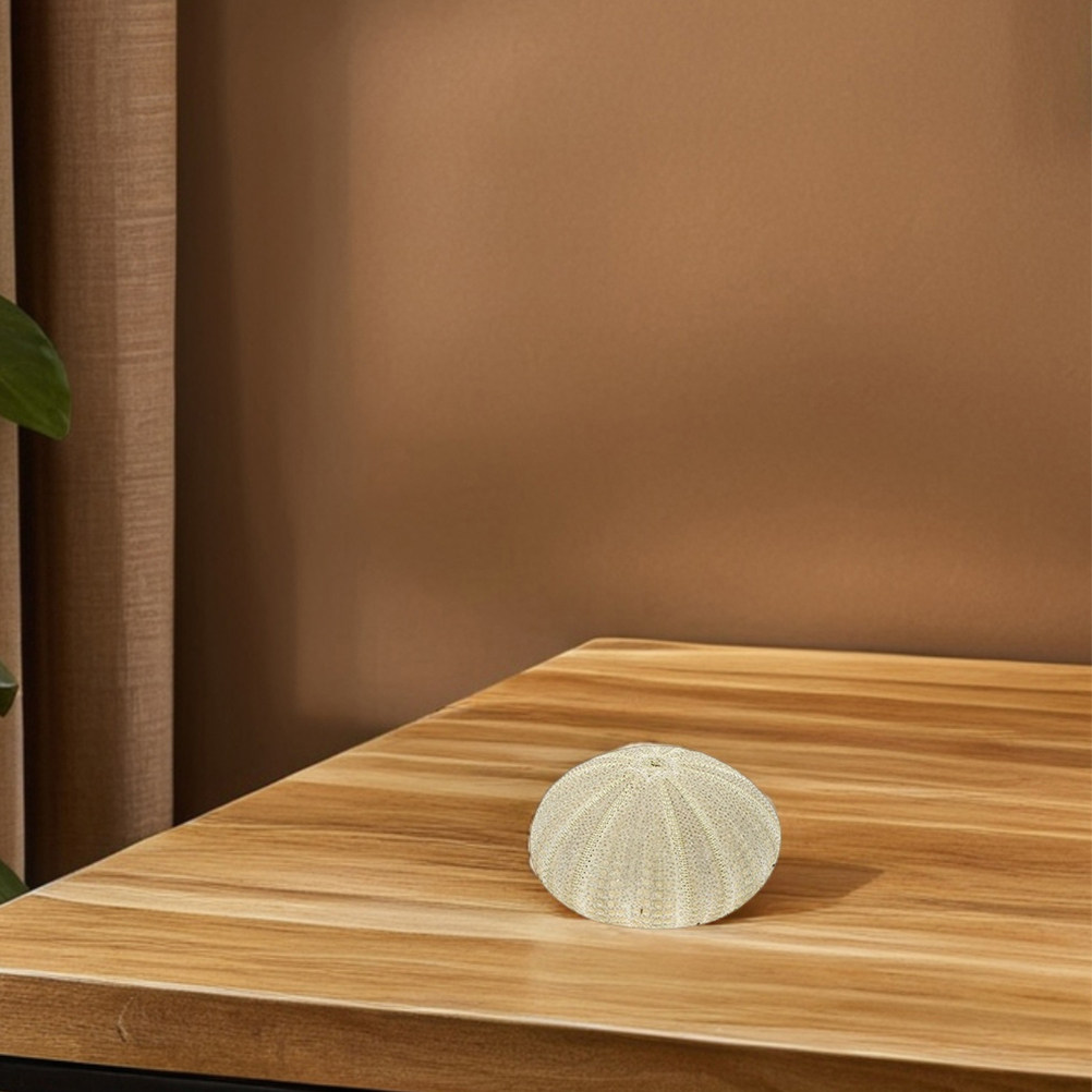 18 Adet Denizkabuğu Vazo Dolgu - Art Craft Project incelemesi ve fiyatı